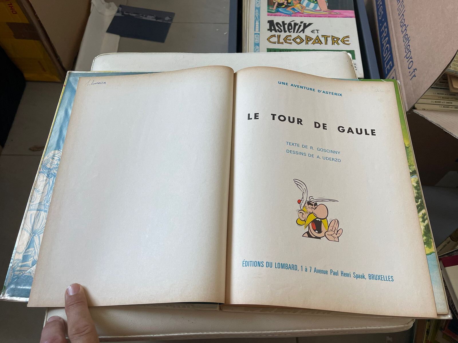 Image 7