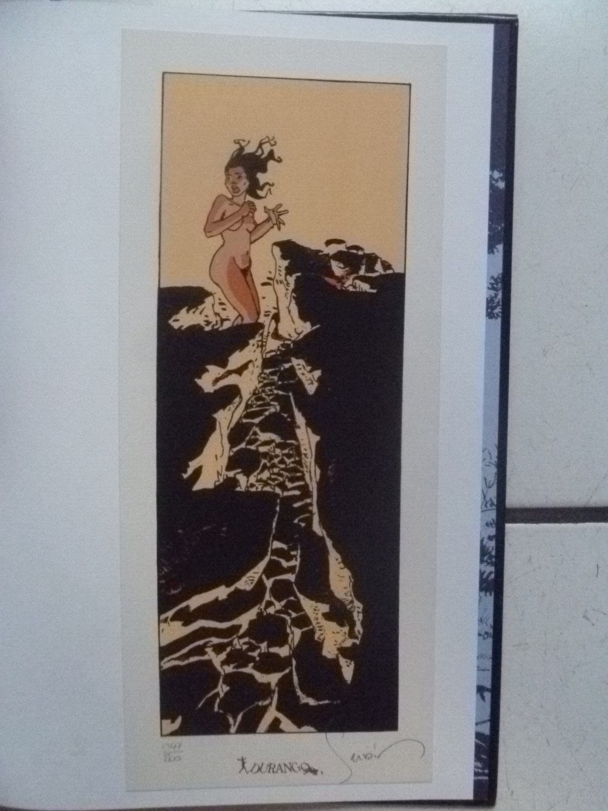 Image 8
