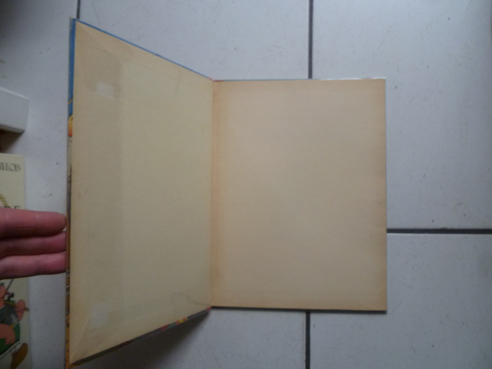 Image 11