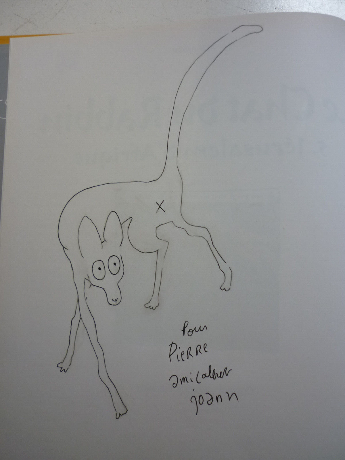 JOANN  SFAR  /  LE CHAT DU RABBIN  5 / JERUSALEM  D AFRIQUE  /  EO +   DEDICACE