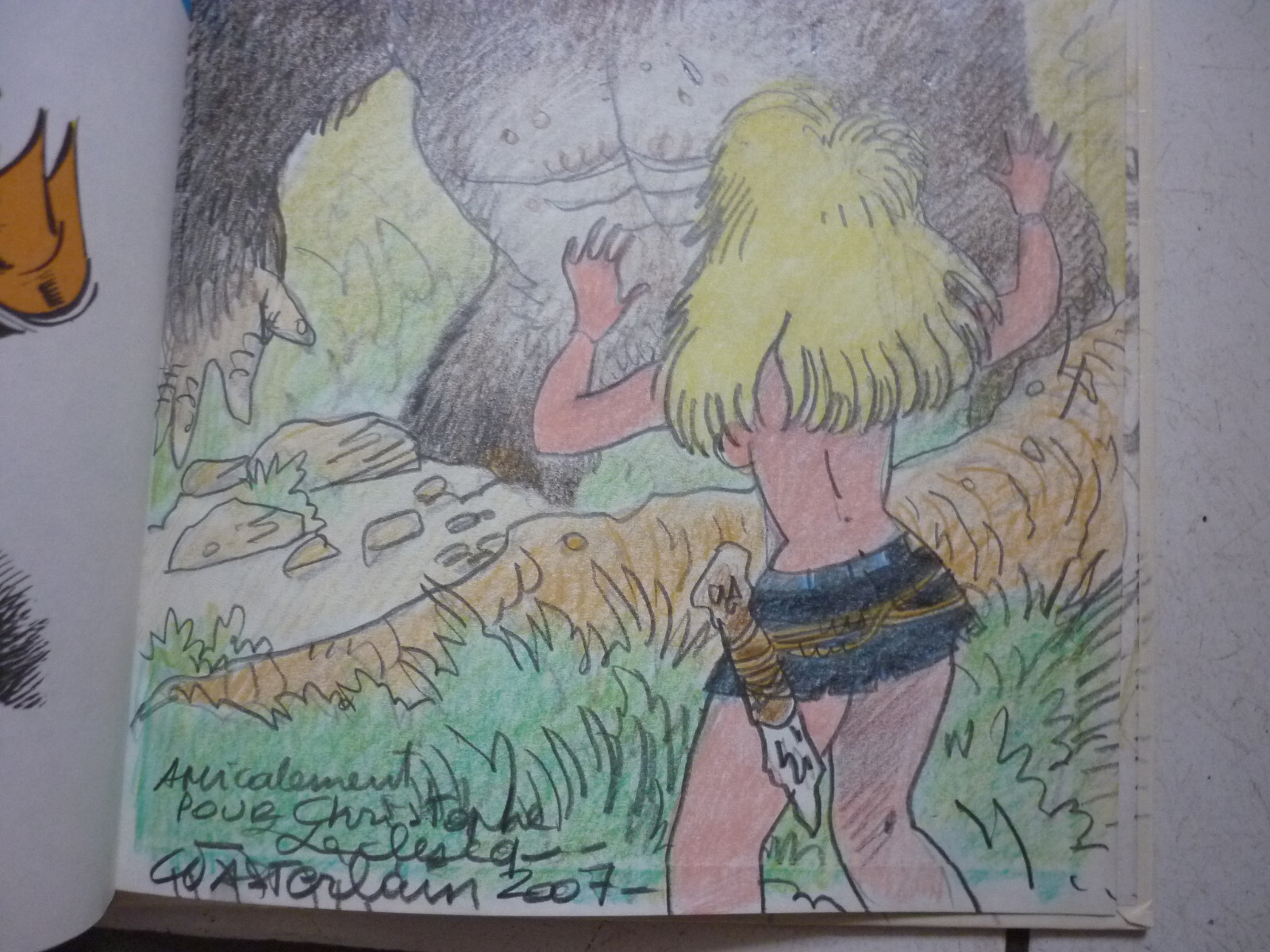 Image 5