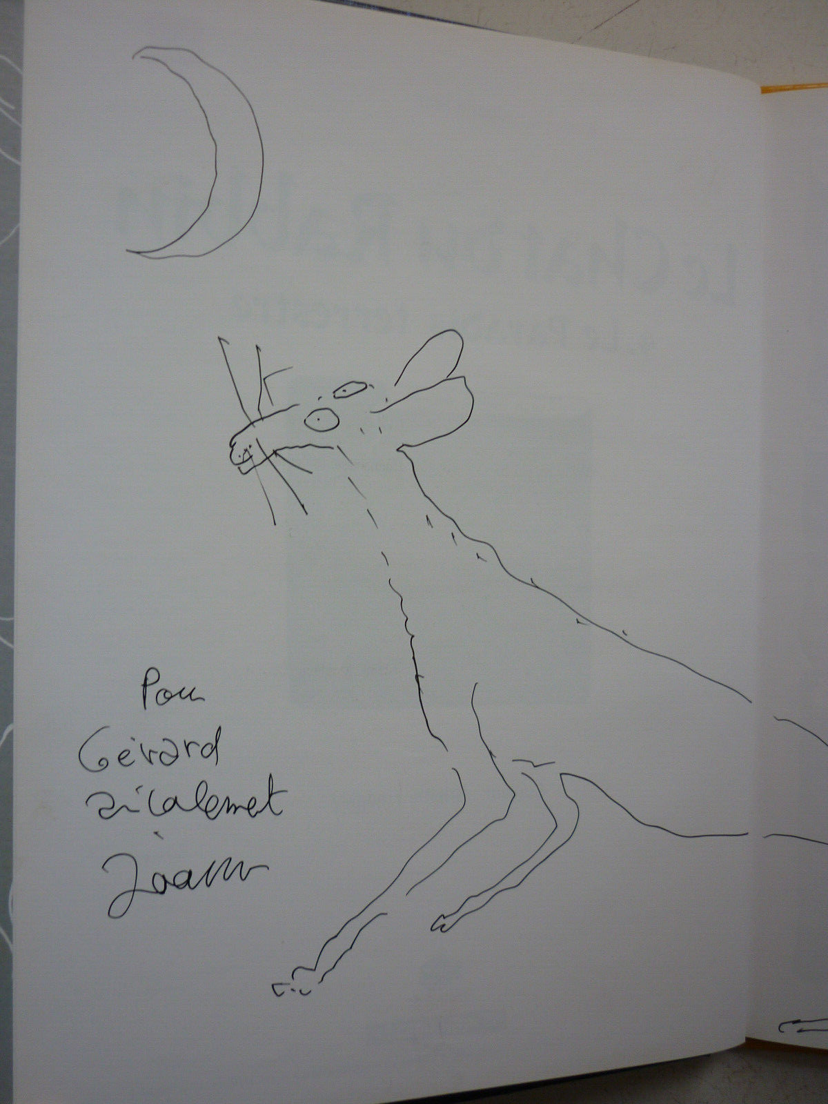 Image 3