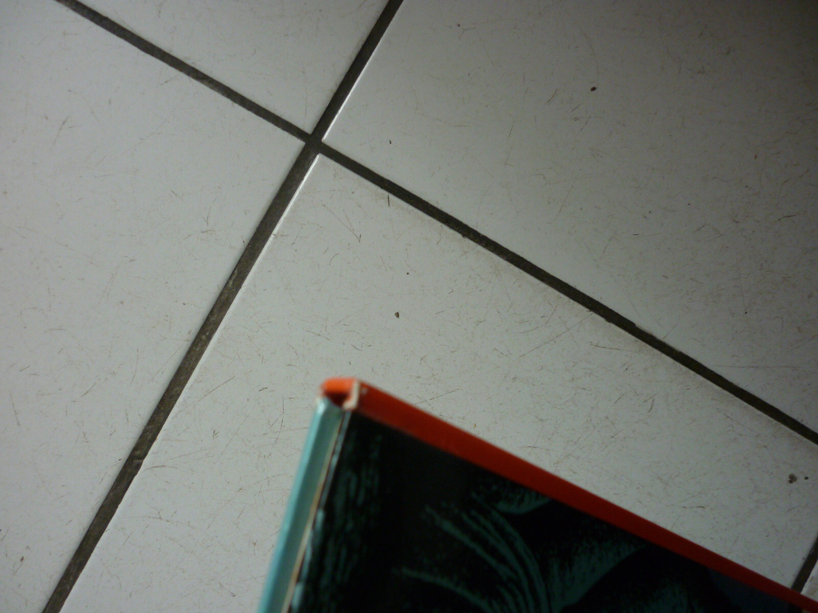 Image 11