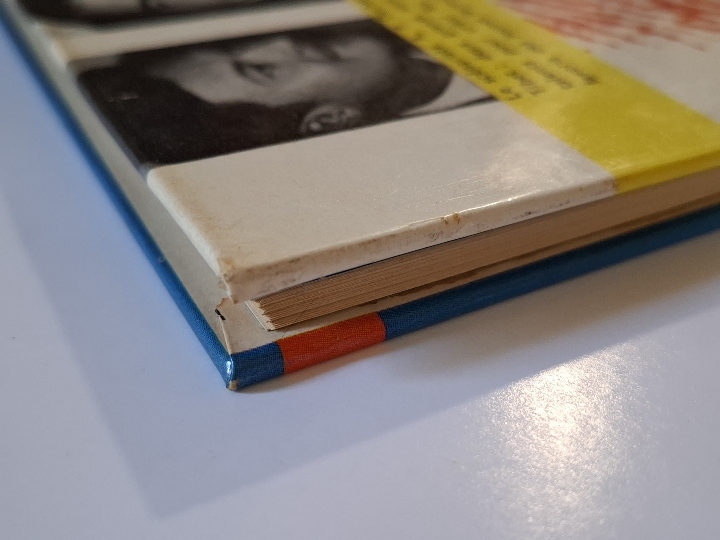 Image 5