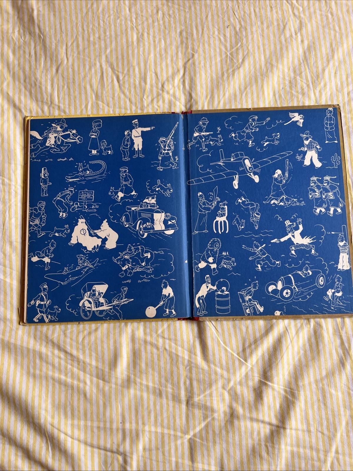 Image 7