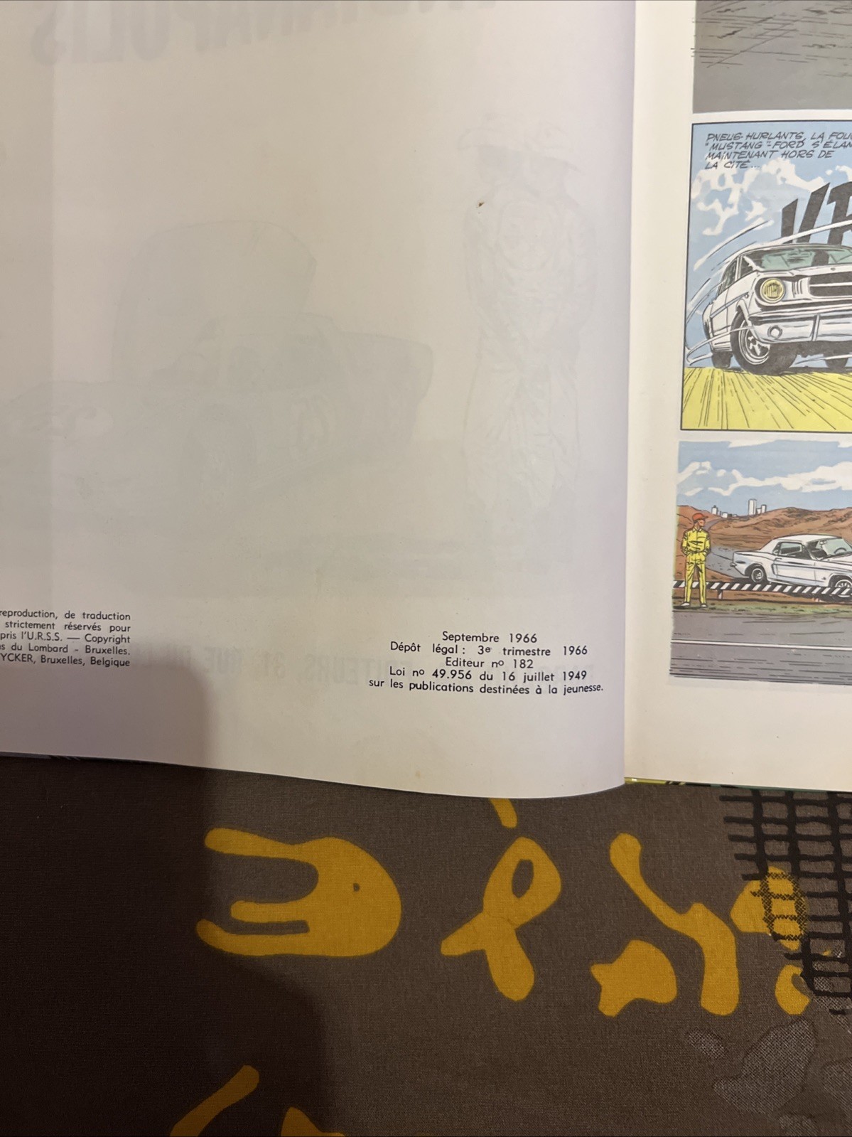 Image 5