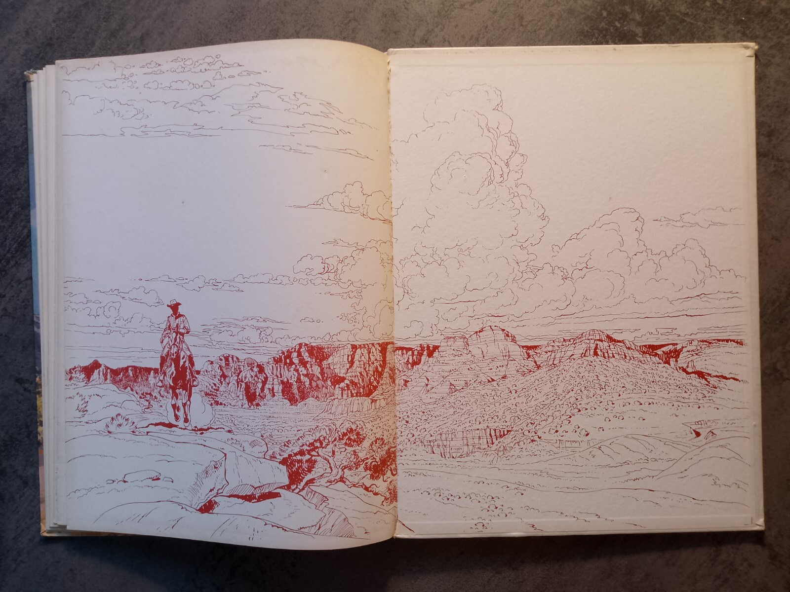 Image 12