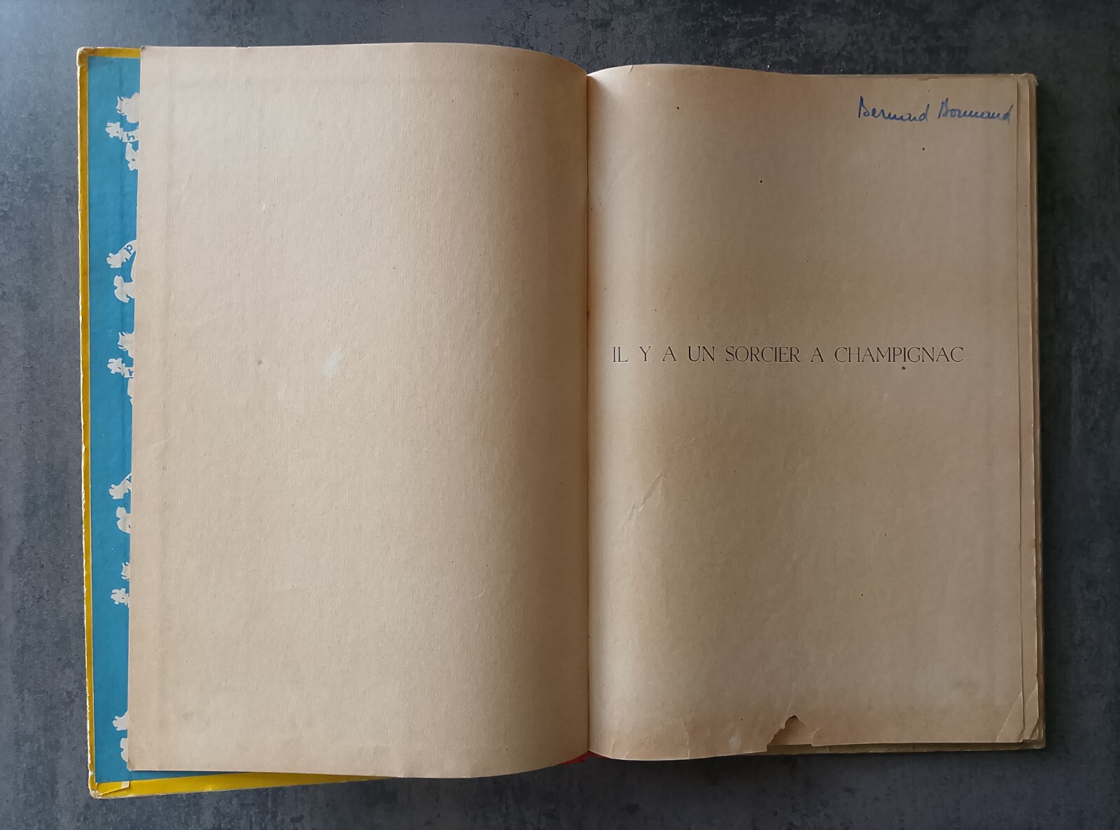 Image 7