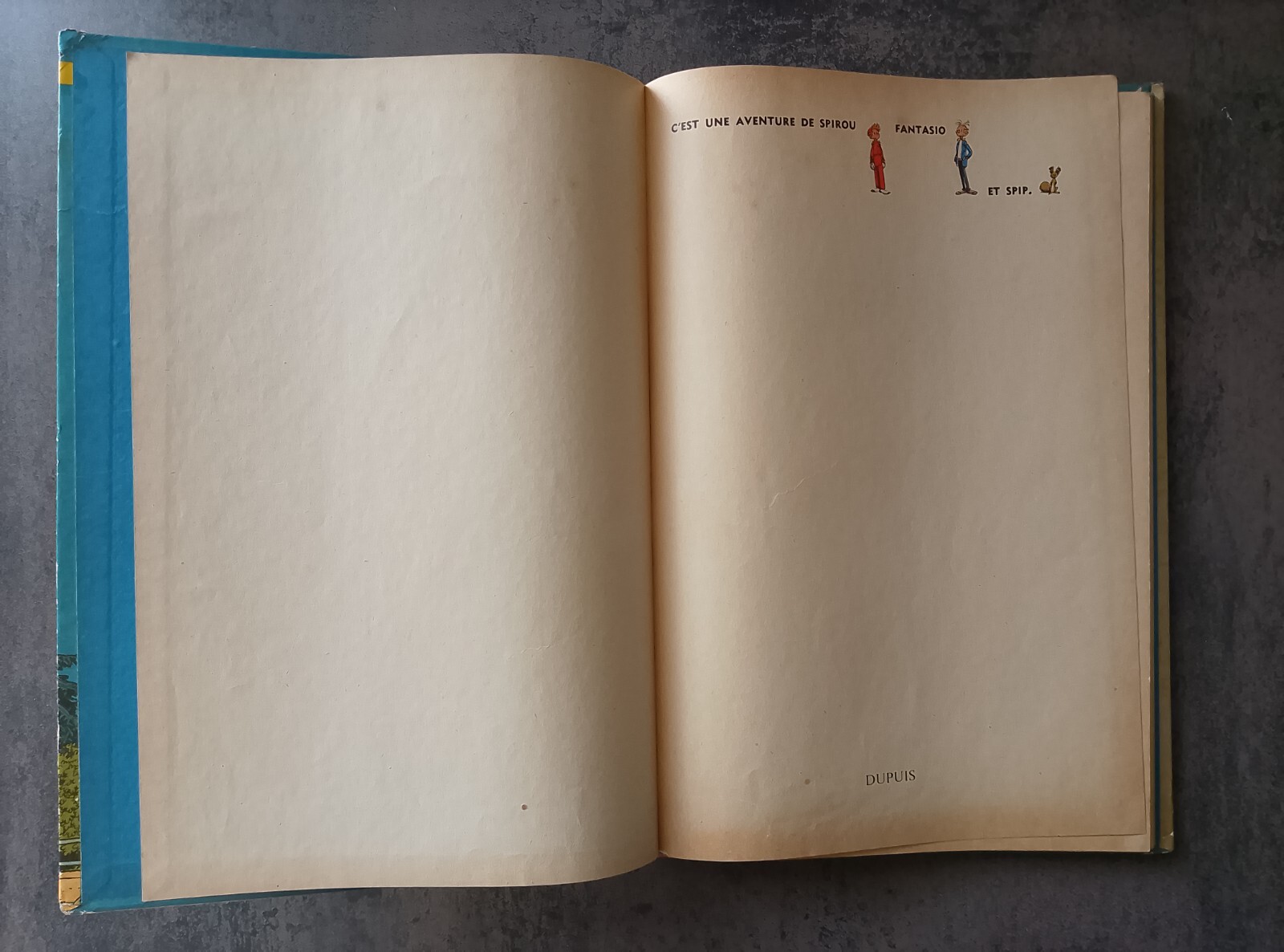 Image 7