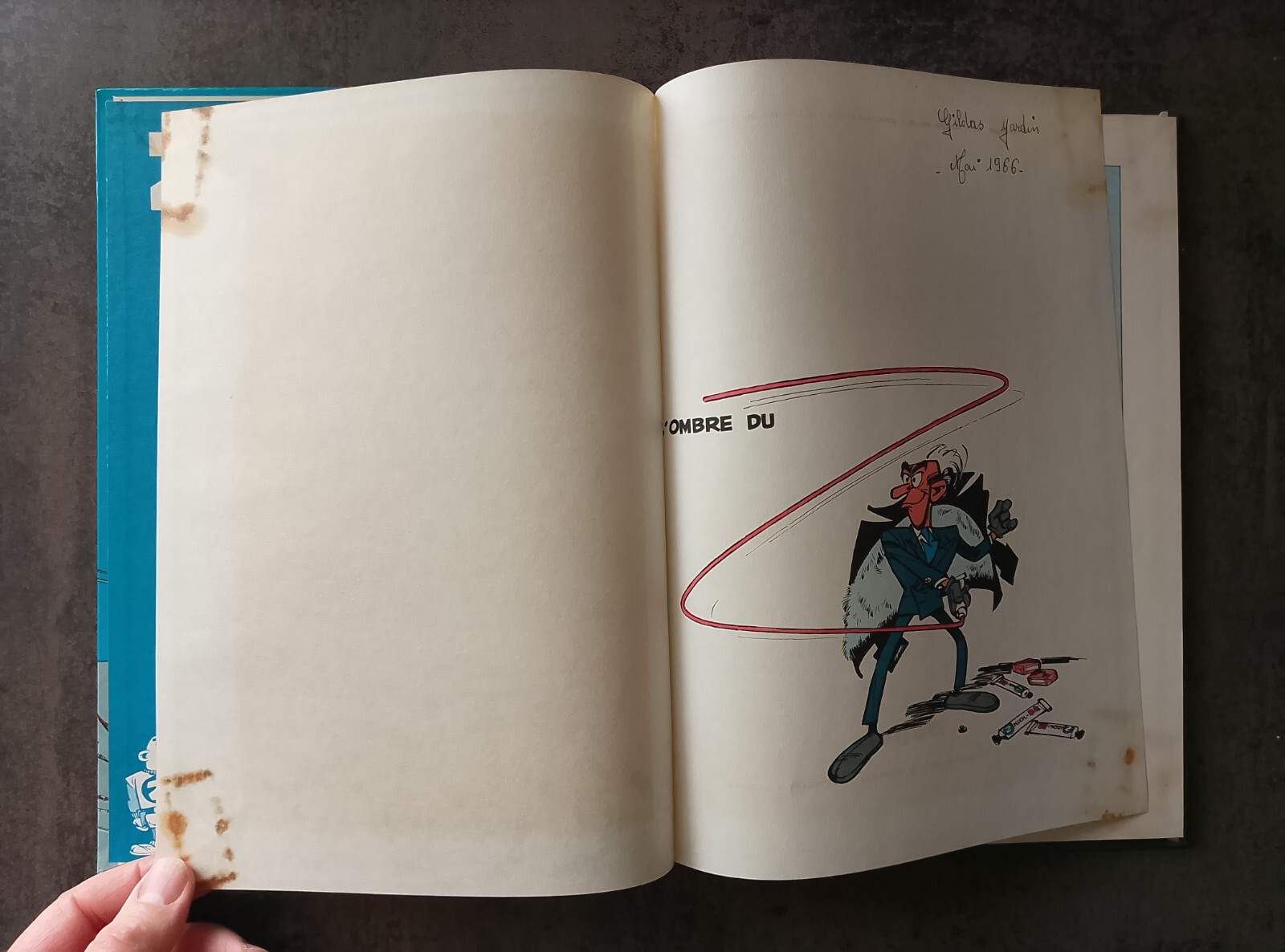Image 7