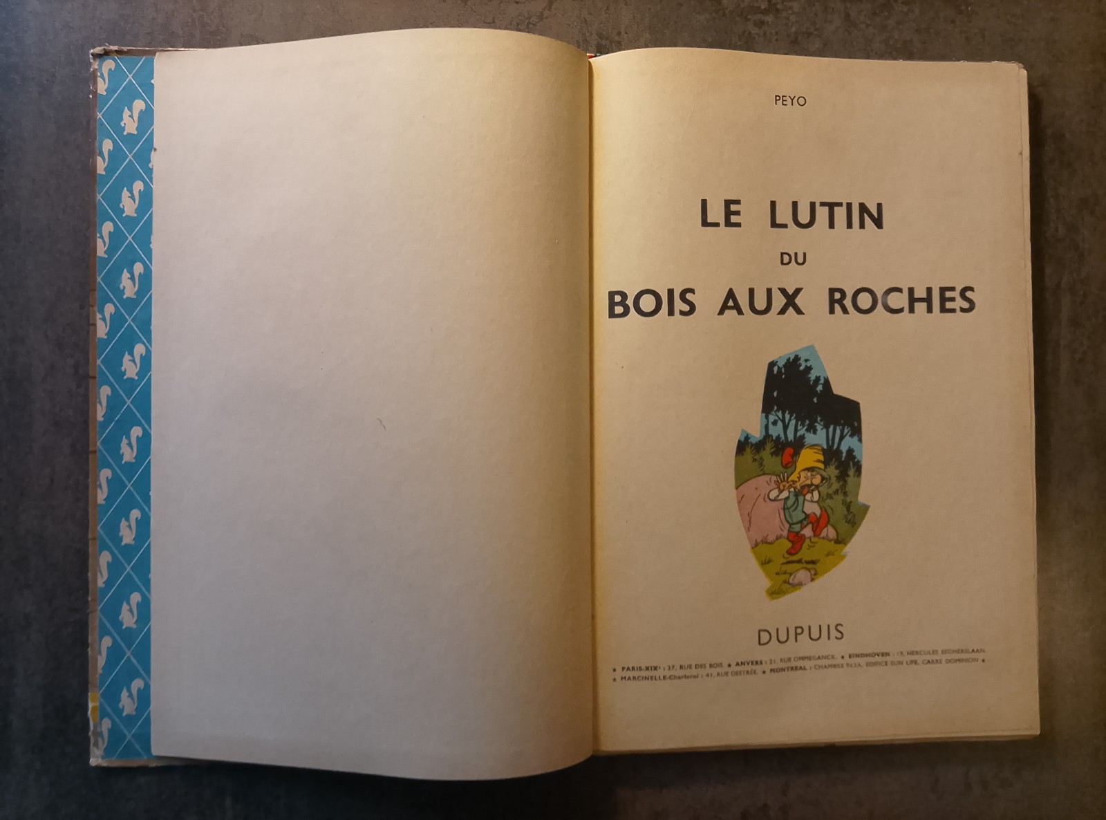 Image 7