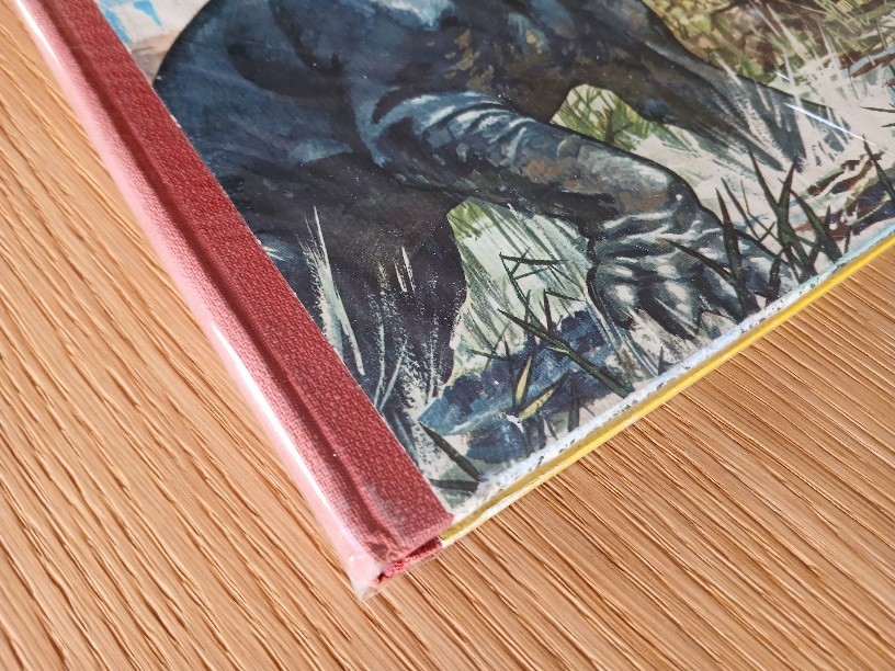 Image 5