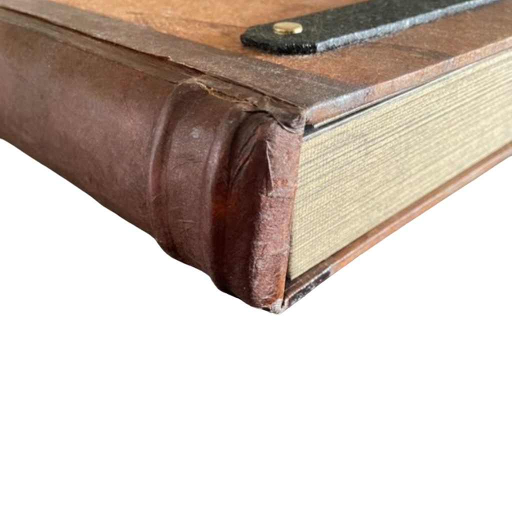 Image 8