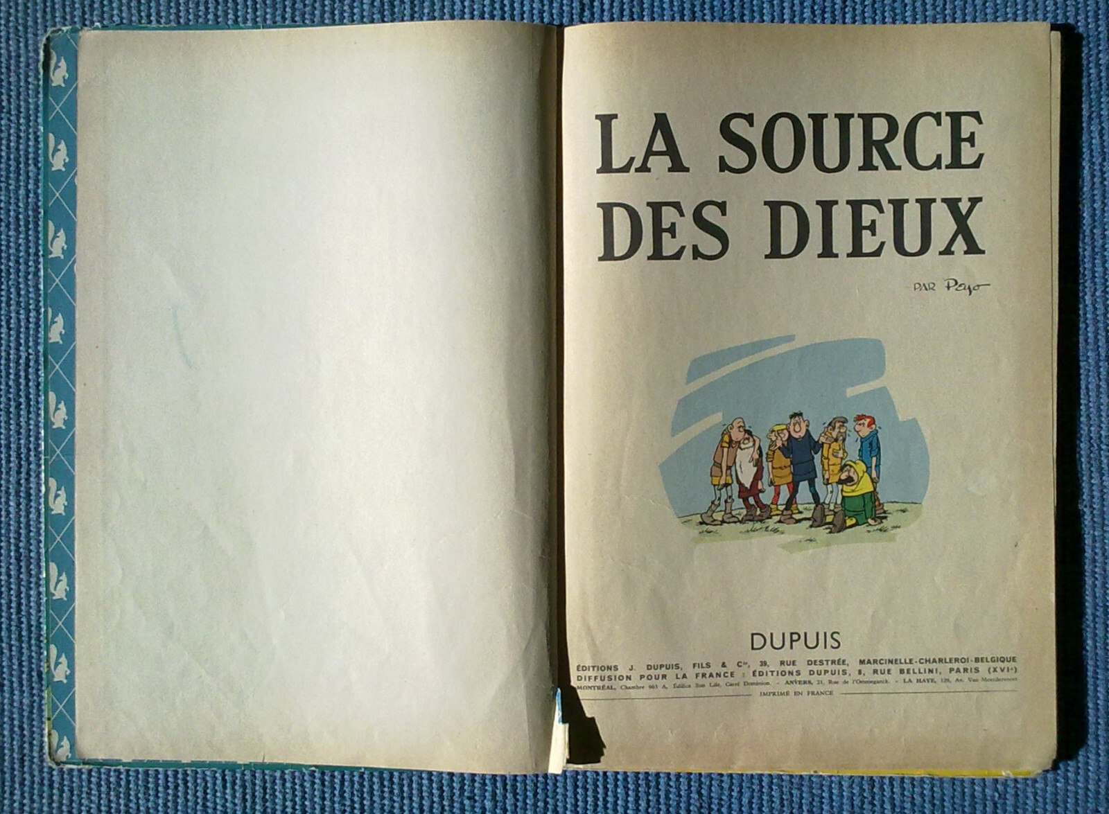 Image 5