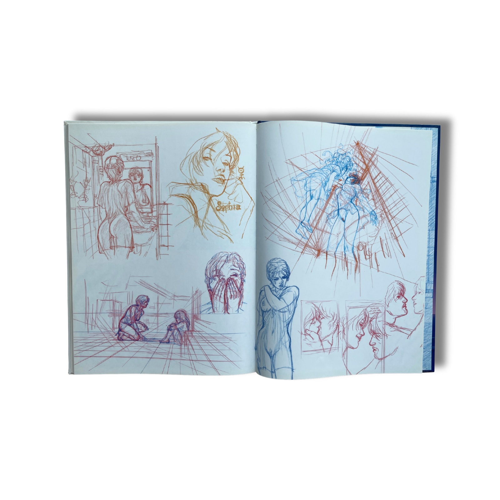 Image 13