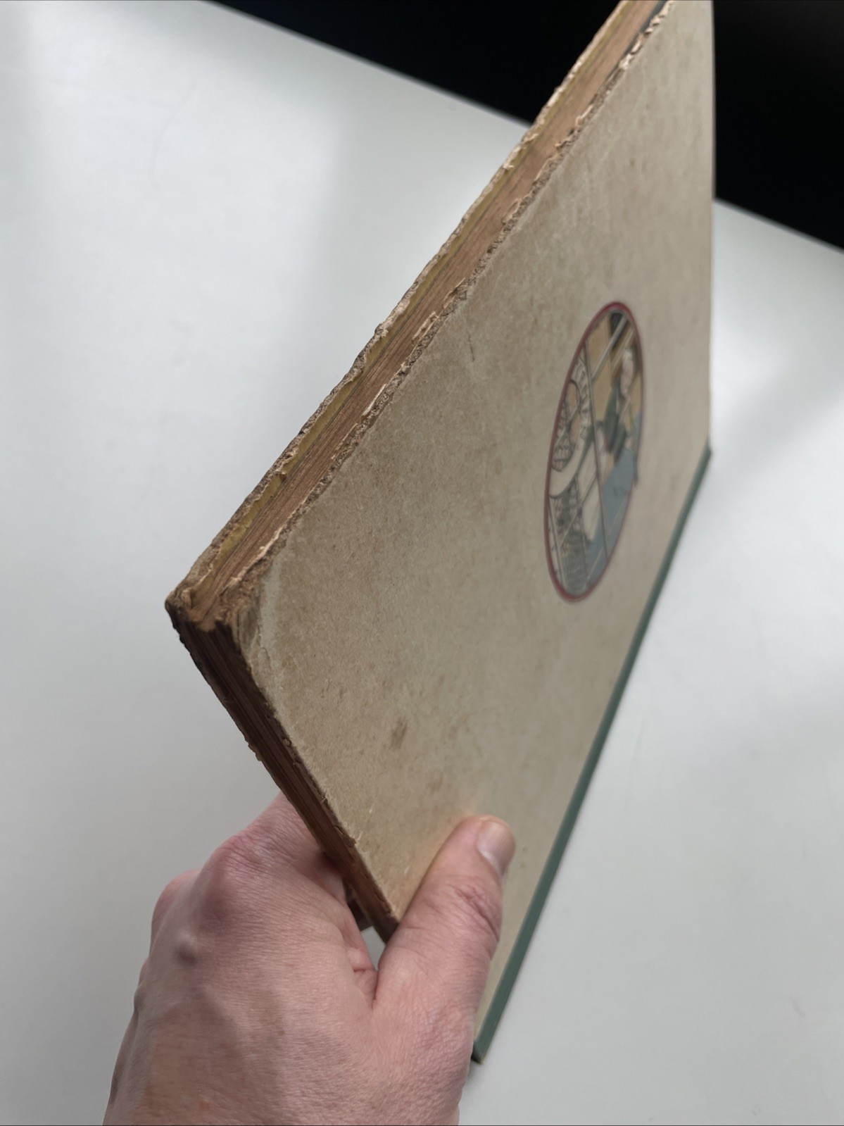 Image 6