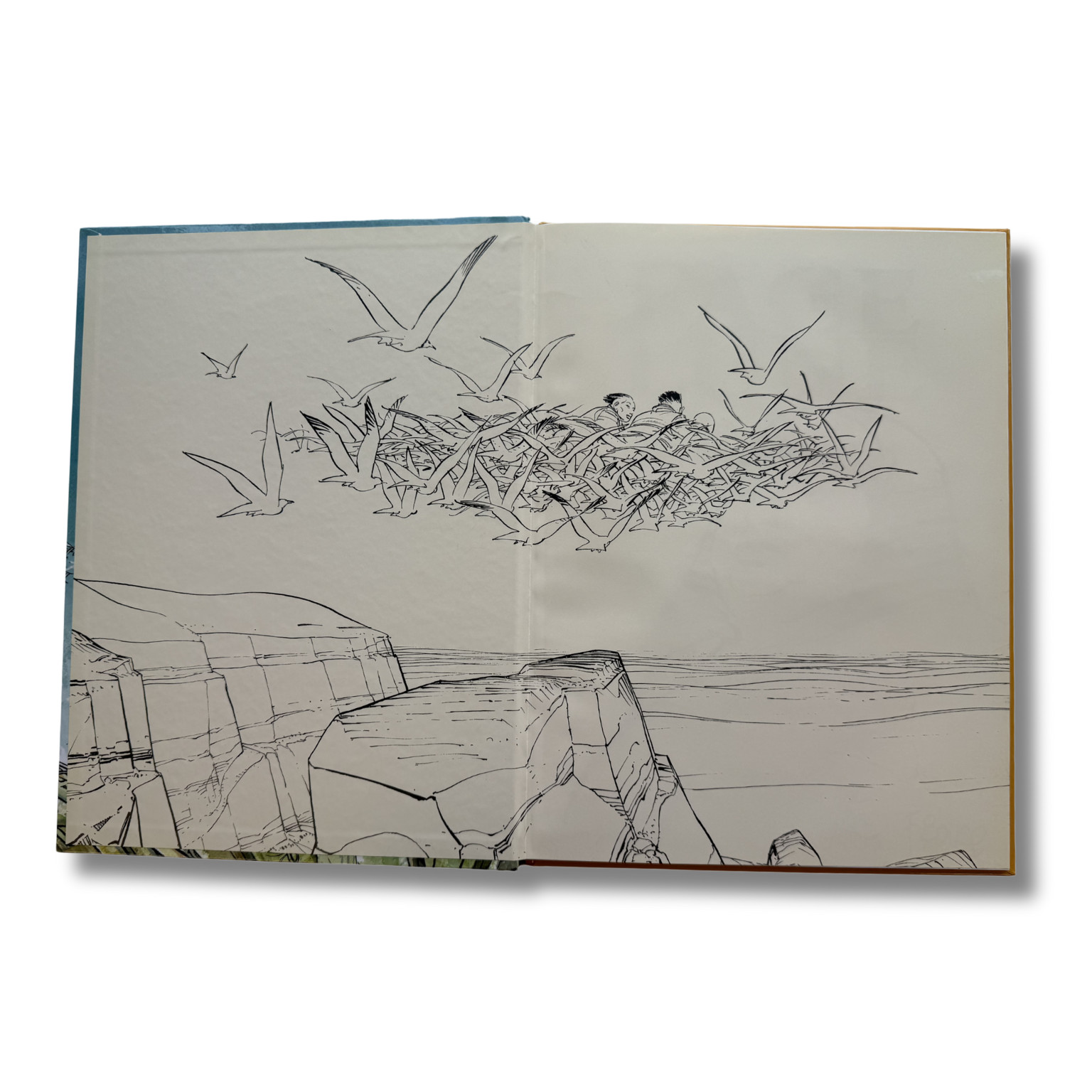 Image 4