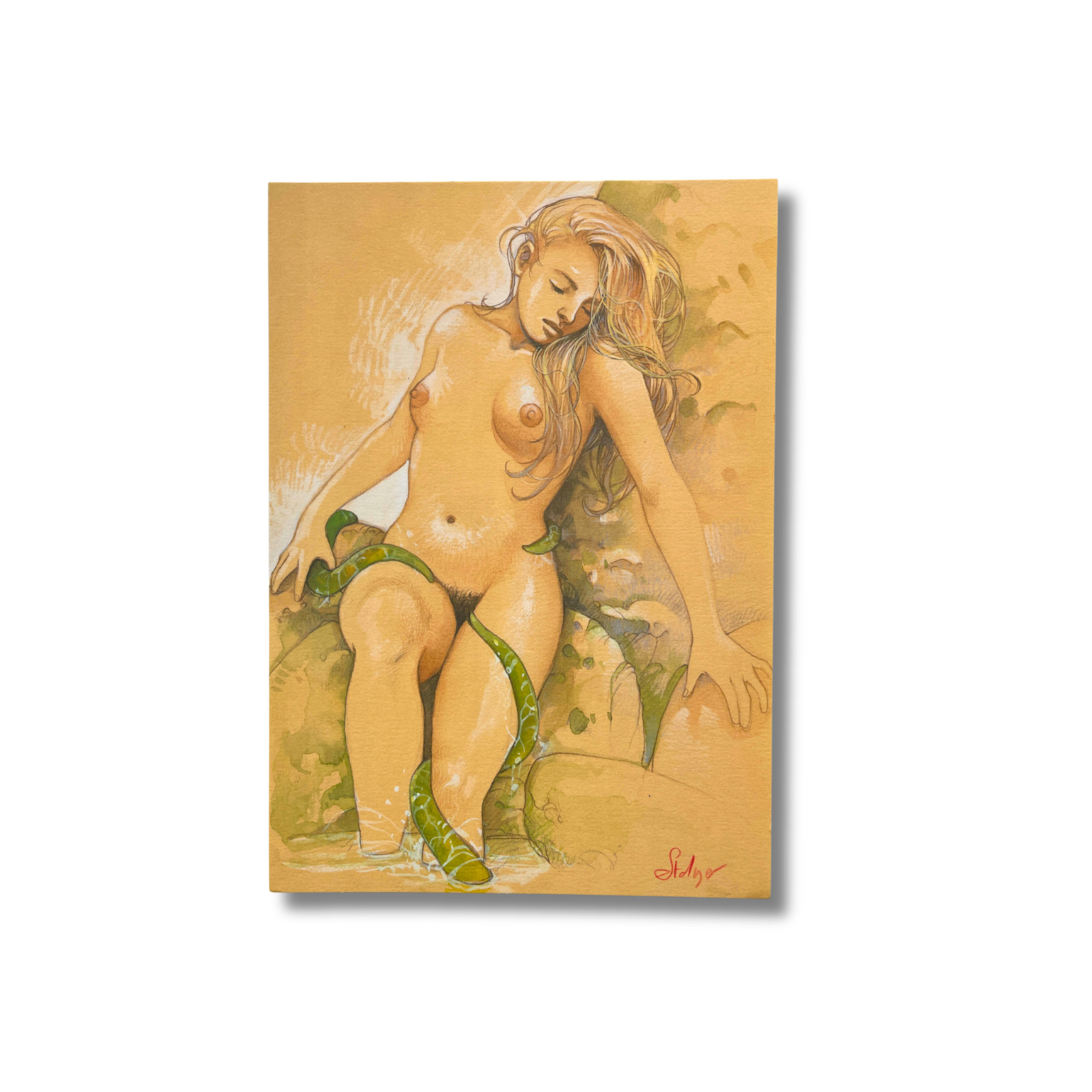 Image 3