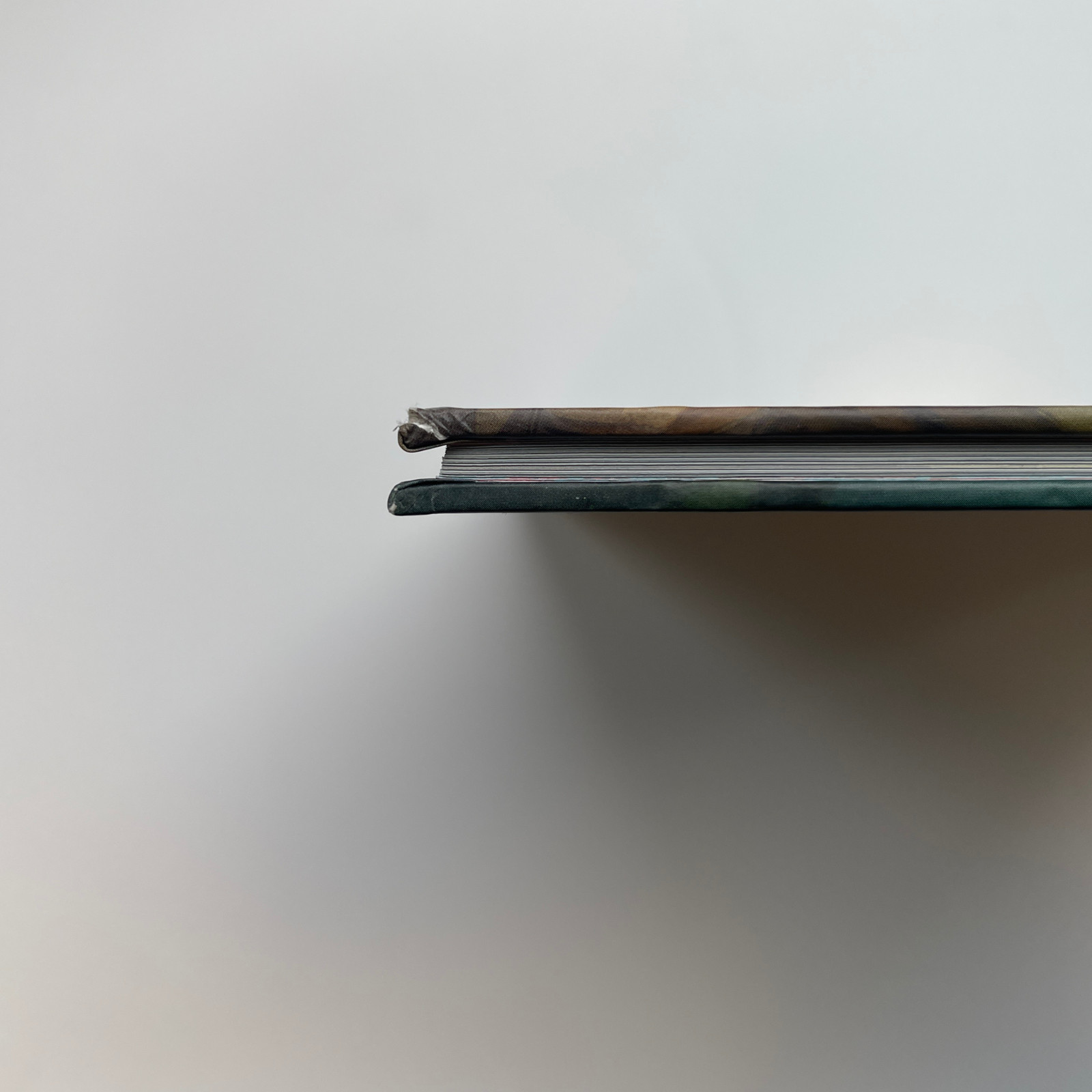 Image 7
