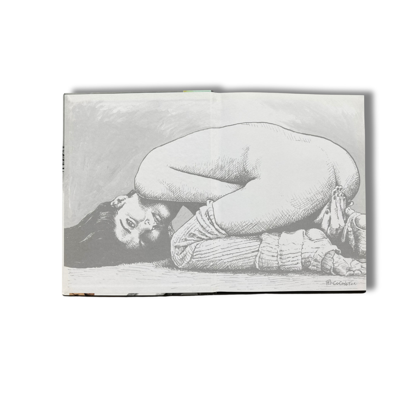 Image 5